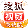 搜狐视频手机版安卓下载_搜狐视频app下载 v10.1.20免费版