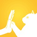 友猫app下载_友猫最新版下载 v2.9.45安卓版