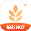 大麦相机软件下载_大麦相机app下载 v2.9.1最新版